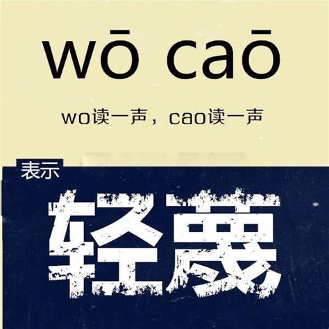 卧槽是什麼意思|來感受一下中國文化的博大精深！「臥槽」到底是什麼意。